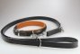 Hundeleine mit Halsband